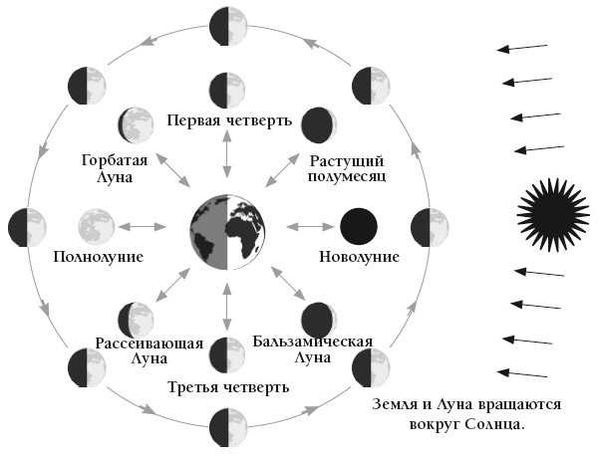 Фазы Луны на год с подробностями