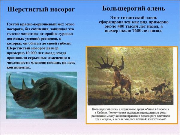 Исчезнувшие животные России, истребленные человеком