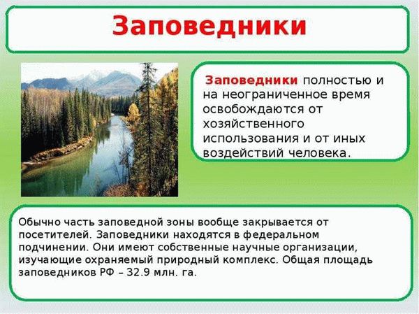 Этапы развития охраны природы в России