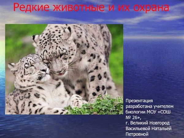 Кировская область: идеальная среда обитания для редких видов