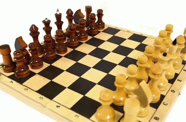 Играйте в шахматы онлайн без регистрации